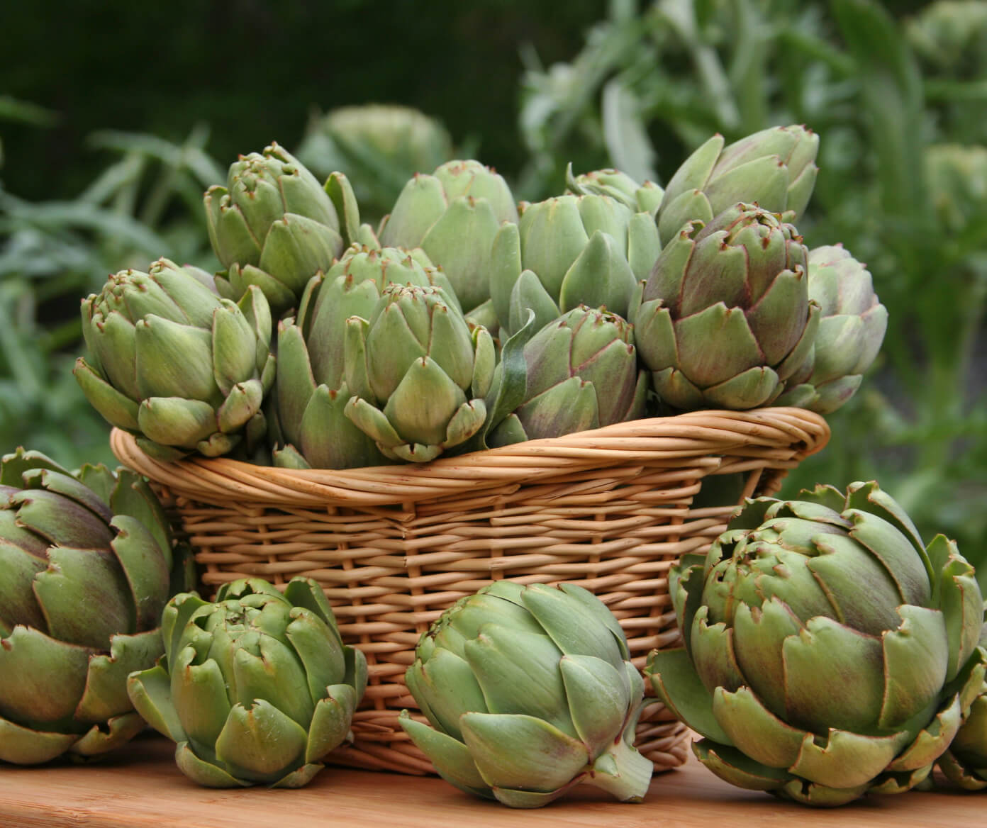 basket artichokes